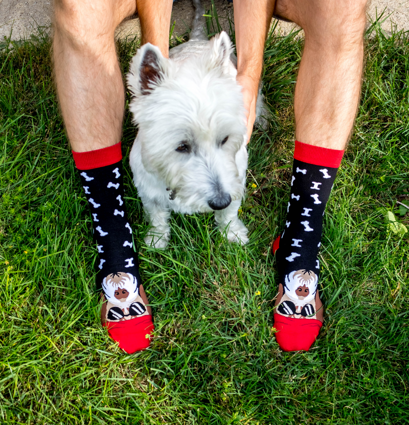 Arty socks with Terrier