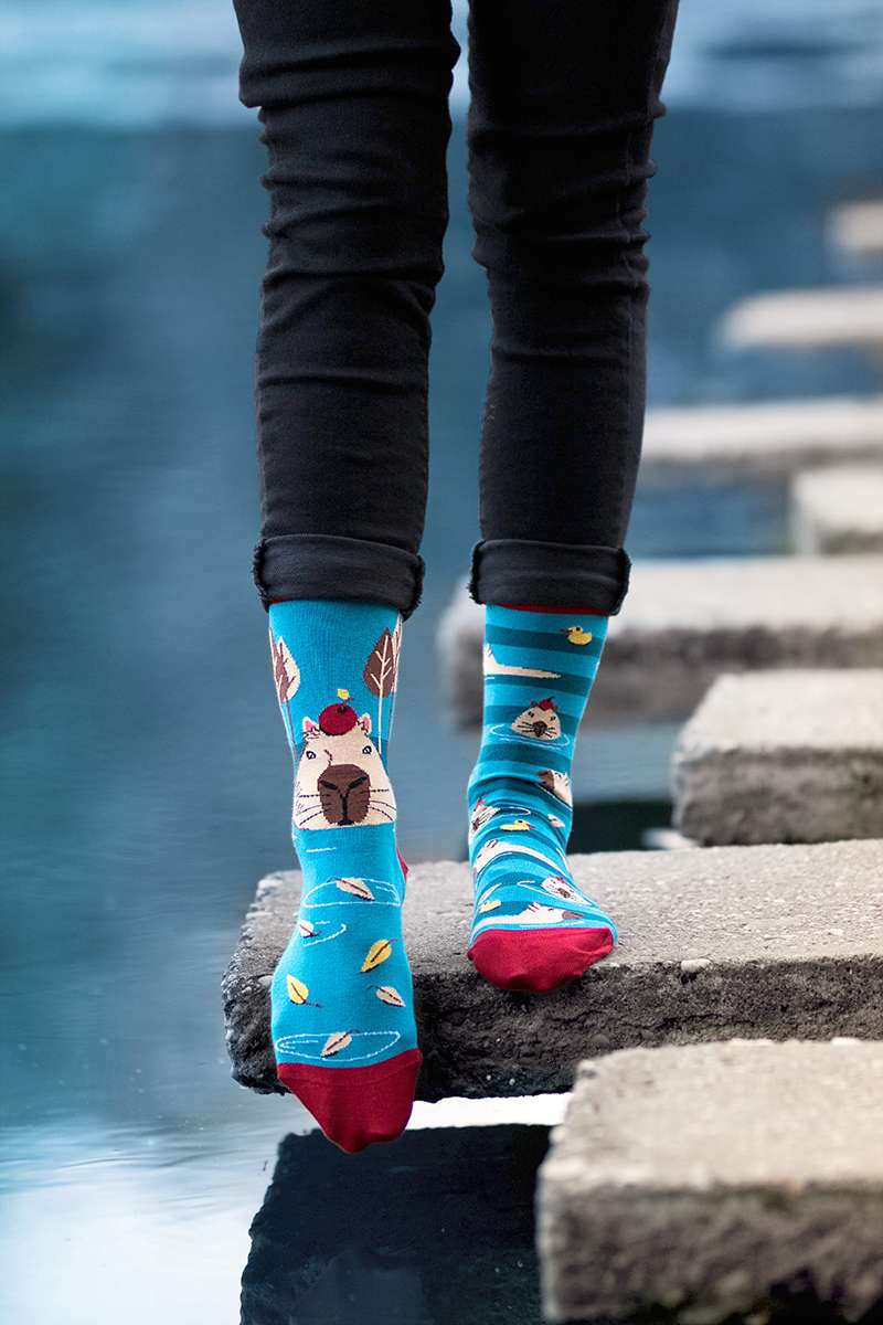 Arty socks with George the capybara - Turquoise