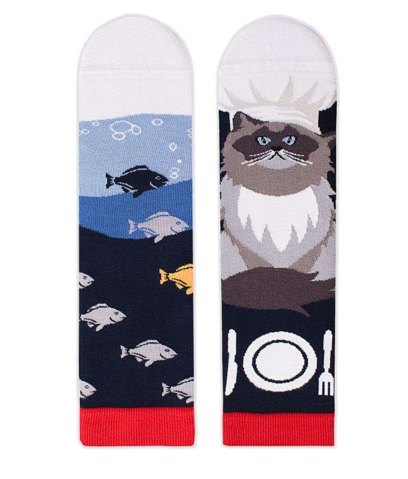 Arty socks with Himalayan cat