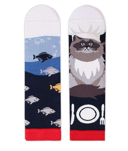 Arty socks with Himalayan cat