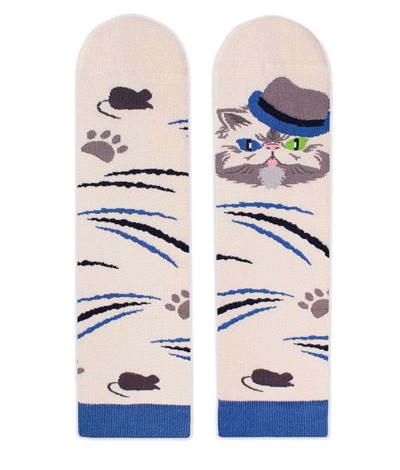 Arty socks with Persian cat