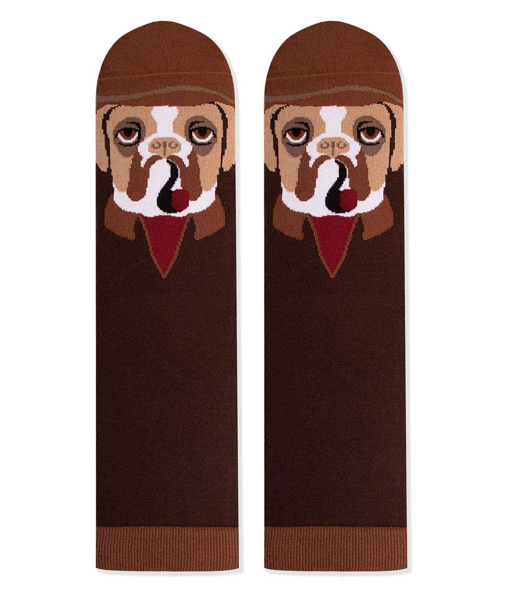 Arty socks with Boxer