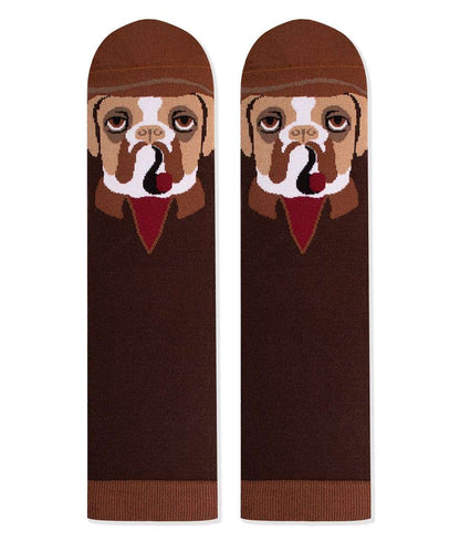 Arty socks with Boxer