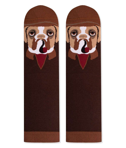 Arty socks with Boxer