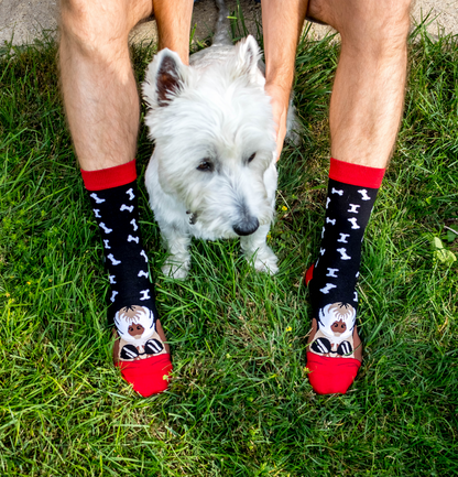 Arty socks with Terrier