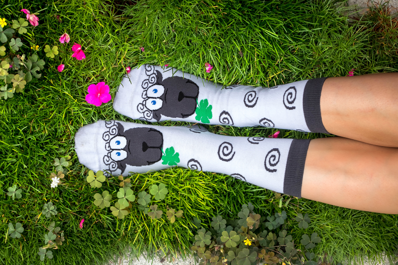 Arty socks with Sheep