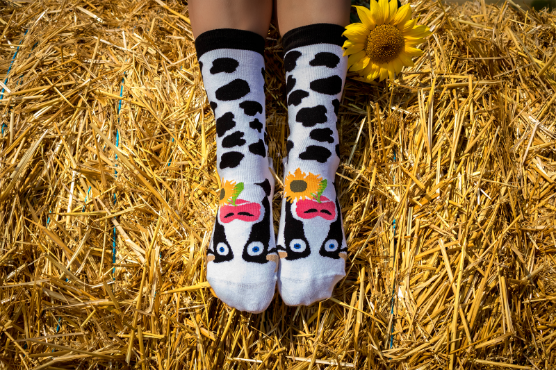 Arty socks with Cow