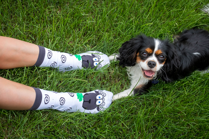 Arty socks with Sheep