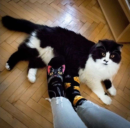 Arty socks with Black cat